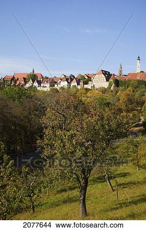 Trees in a forest area with buildings of the old town in the background; rothenburg ob der tauber bavaria germany View Large Photo Image Picture - Trees in a forest area with buildings of the old town in the background; rothenburg ob der tauber bavaria germany. Fotosearch