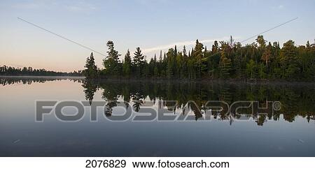 Trees on the shoreline reflected in the tranquil lake; lake of the woods ontario canada View Large Photo Image Stock Photo - Trees on the shoreline reflected in the tranquil lake; lake of the woods ontario canada. Fotosearch