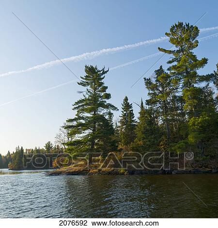 Trees on the water's edge in autumn; lake of the woods ontario canada View Large Photo Image Stock Image - Trees on the water's edge in autumn; lake of the woods ontario canada. Fotosearch