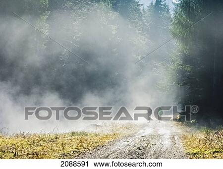 Stock Image - Two senior men cycle in the fog on the trans canada trail in the cowichan valley; british columbia canada. Fotosearch