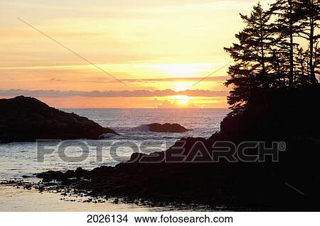 Ucluth Beach At Wya Point At Sunset Near Ucluelet On Vancouver Island; British Columbia Canada View Large Photo Image Picture - Ucluth Beach At Wya Point At Sunset Near Ucluelet On Vancouver Island; British Columbia Canada. Fotosearch