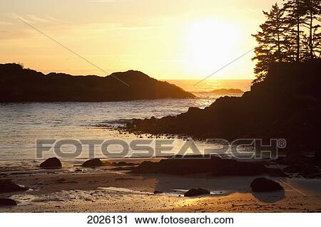 Ucluth Beach At Wya Point At Sunset Near Ucluelet On Vancouver Island; British Columbia Canada View Large Photo Image Stock Image - Ucluth Beach At Wya Point At Sunset Near Ucluelet On Vancouver Island; British Columbia Canada. Fotosearch