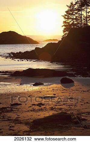 Ucluth Beach At Wya Point At Sunset Near Ucluelet On Vancouver Island; British Columbia Canada View Large Photo Image Stock Image - Ucluth Beach At Wya Point At Sunset Near Ucluelet On Vancouver Island; British Columbia Canada. Fotosearch