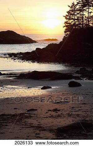 Ucluth Beach At Wya Point At Sunset Near Ucluelet On Vancouver Island; British Columbia Canada View Large Photo Image Stock Image - Ucluth Beach At Wya Point At Sunset Near Ucluelet On Vancouver Island; British Columbia Canada. Fotosearch