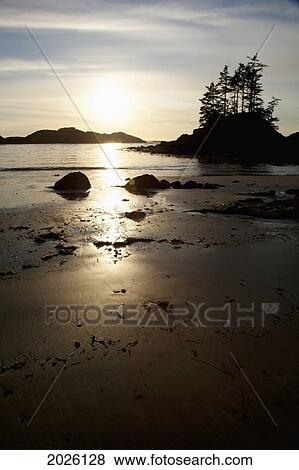 Ucluth Beach At Wya Point At Sunset Near Ucluelet On Vancouver Island; British Columbia Canada View Large Photo Image Stock Photo - Ucluth Beach At Wya Point At Sunset Near Ucluelet On Vancouver Island; British Columbia Canada. Fotosearch