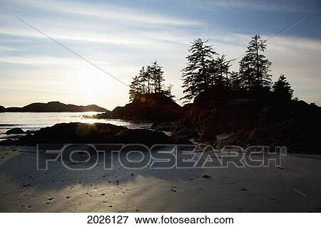 Ucluth Beach At Wya Point Near Ucluelet On Vancouver Island; British Columbia Canada View Large Photo Image Stock Photo - Ucluth Beach At Wya Point Near Ucluelet On Vancouver Island; British Columbia Canada. Fotosearch
