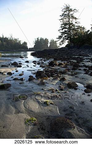 Stock Photography - Ucluth Beach At Wya Point Near Ucluelet On Vancouver Island; British Columbia Canada. Fotosearch