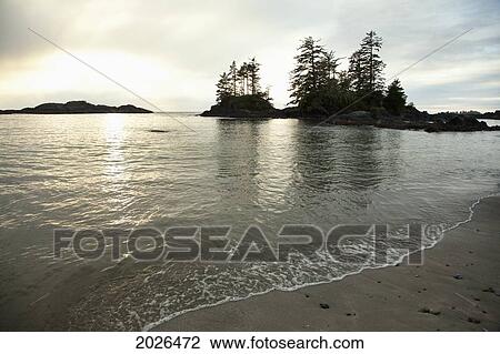 Ucluth Beach In The Wya Point Campground Near Ucluelet On Vancouver Island; British Columbia Canada View Large Photo Image Stock Image - Ucluth Beach In The Wya Point Campground Near Ucluelet On Vancouver Island; British Columbia Canada. Fotosearch