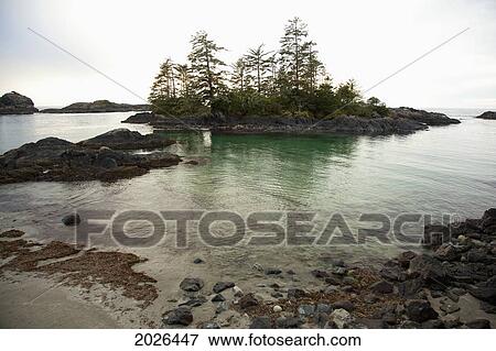 Ucluth Beach In The Wya Point Campground Near Ucluelet On Vancouver Island; British Columbia Canada View Large Photo Image Stock Photo - Ucluth Beach In The Wya Point Campground Near Ucluelet On Vancouver Island; British Columbia Canada. Fotosearch