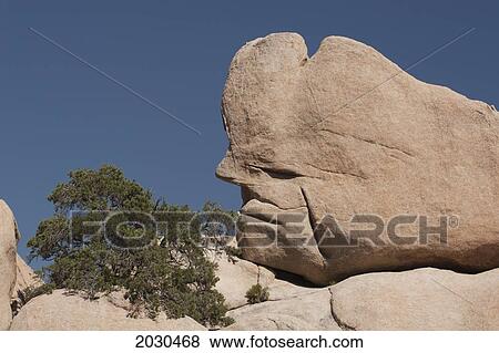 Unique Face Formation In A Large Rock With Desert Shrub And Blue Sky; Palm Springs California United States Of America View Large Photo Image Stock Photo - Unique Face Formation In A Large Rock With Desert Shrub And Blue Sky; Palm Springs California United States Of America. Fotosearch