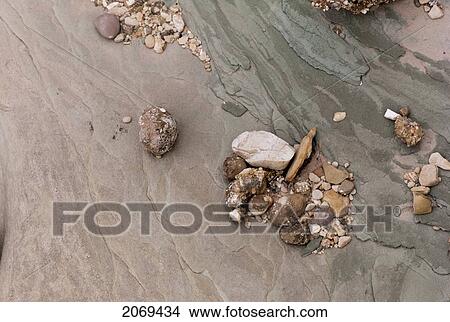 Variety Of Stones In A Pile On An Eroded Rock Surface At Horseshoe Bend; Colorado United States Of America View Large Photo Image Picture - Variety Of Stones In A Pile On An Eroded Rock Surface At Horseshoe Bend; Colorado United States Of America. Fotosearch