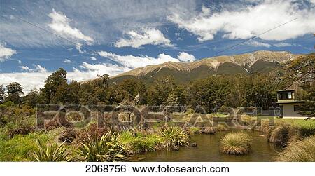 View Of Landscape And Stream Near Saint Arnaud; South Island New Zealand View Large Photo Image Stock Photograph - View Of Landscape And Stream Near Saint Arnaud; South Island New Zealand. Fotosearch