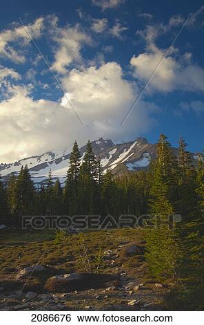 Stock Photograph - View of mount shasta at sunset; california united states of america. Fotosearch