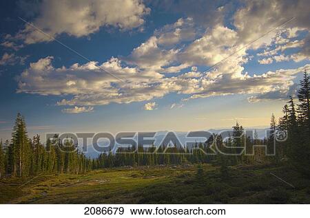 View of panther meadows on mount shasta at sunset; california united states of america View Large Photo Image Stock Photo - View of panther meadows on mount shasta at sunset; california united states of america. Fotosearch
