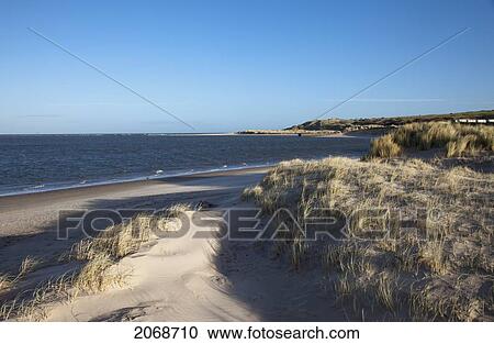 View Of The Coastline At Budle Bay; Northumberland England View Large Photo Image Stock Image - View Of The Coastline At Budle Bay; Northumberland England. Fotosearch