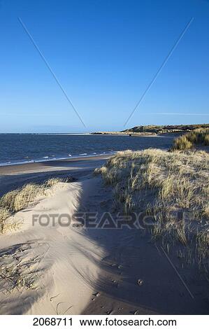 View Of The Coastline At Budle Bay; Northumberland England View Large Photo Image Stock Image - View Of The Coastline At Budle Bay; Northumberland England. Fotosearch
