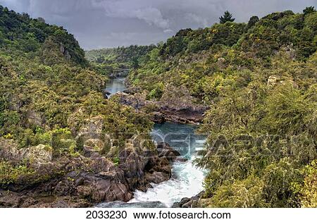 Stock Image - Waikato River Running Through The Tree Covered Landscape; Taupo New Zealand. Fotosearch