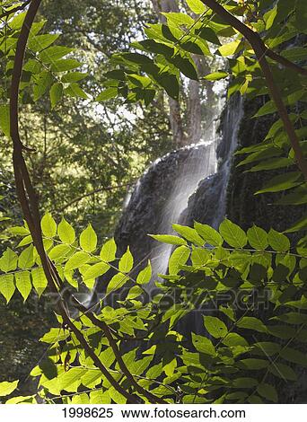 Waterfall Framed By Green Leaves In The Natural Park Monasterio De Piedra; Zaragoza Province Aragon Spain View Large Photo Image Stock Photography - Waterfall Framed By Green Leaves In The Natural Park Monasterio De Piedra; Zaragoza Province Aragon Spain. Fotosearch