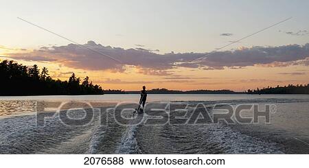 Stock Photo - Waterskier on the lake at sunset; lake of the woods ontario canada. Fotosearch