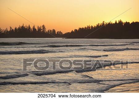 Waves At Long Beach A Surfer's Paradise At Sunset In Pacific Rim National Park Near Tofino; British Columbia Canada View Large Photo Image Picture - Waves At Long Beach A Surfer's Paradise At Sunset In Pacific Rim National Park Near Tofino; British Columbia Canada. Fotosearch