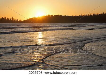 Waves At Long Beach A Surfer's Paradise At Sunset In Pacific Rim National Park Near Tofino; British Columbia Canada View Large Photo Image Stock Image - Waves At Long Beach A Surfer's Paradise At Sunset In Pacific Rim National Park Near Tofino; British Columbia Canada. Fotosearch