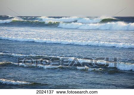 Waves At Long Beach A Surfer's Paradise In Pacific Rim National Park Near Tofino; British Columbia Canada View Large Photo Image Stock Photo - Waves At Long Beach A Surfer's Paradise In Pacific Rim National Park Near Tofino; British Columbia Canada. Fotosearch