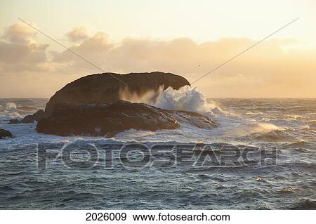 Waves At South Beach In Pacific Rim National Park Near Tofino; British Columbia Canada View Large Photo Image Stock Photo - Waves At South Beach In Pacific Rim National Park Near Tofino; British Columbia Canada. Fotosearch