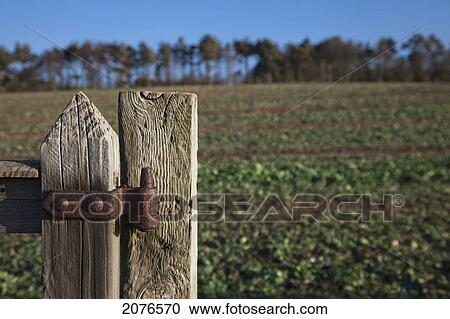 Weathered wooden fence post with rusty hinge; northumberland england View Large Photo Image Stock Image - Weathered wooden fence post with rusty hinge; northumberland england. Fotosearch
