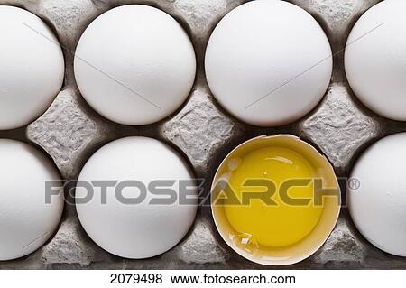 White eggs in a a carton with one brown shelled egg open showing the yoke; calgary alberta canada View Large Photo Image Stock Photo - White eggs in a a carton with one brown shelled egg open showing the yoke; calgary alberta canada. Fotosearch