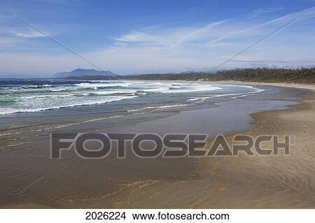 Picture - Wickaninnish Beach In Pacific Rim National Park Near Tofino; British Columbia Canada. Fotosearch