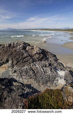 Stock Photo - Wickaninnish Beach In Pacific Rim National Park Near Tofino; British Columbia Canada. Fotosearch