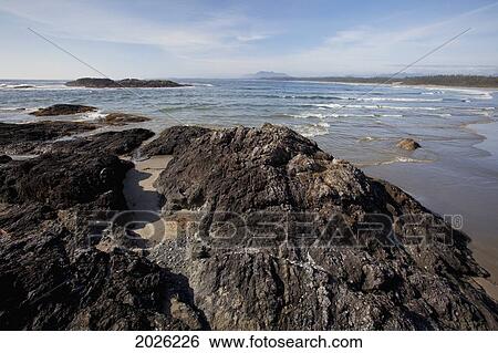 Wickaninnish Beach In Pacific Rim National Park Near Tofino; British Columbia Canada View Large Photo Image Stock Photograph - Wickaninnish Beach In Pacific Rim National Park Near Tofino; British Columbia Canada. Fotosearch