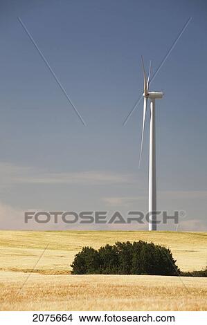 Wind Turbine In Rolling Hills With Blue Sky Near Trochu; Alberta Canada View Large Photo Image Picture - Wind Turbine In Rolling Hills With Blue Sky Near Trochu; Alberta Canada. Fotosearch