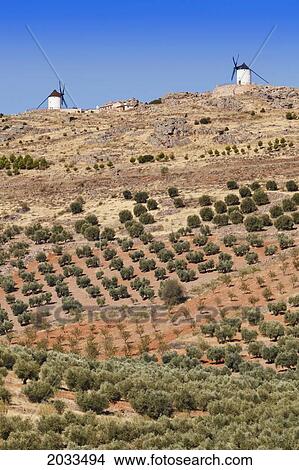 Windmills On A Hill Above Olive Groves; Los Yebenes Toledo Province Castilla-La Mancha Spain View Large Photo Image Picture - Windmills On A Hill Above Olive Groves; Los Yebenes Toledo Province Castilla-La Mancha Spain. Fotosearch