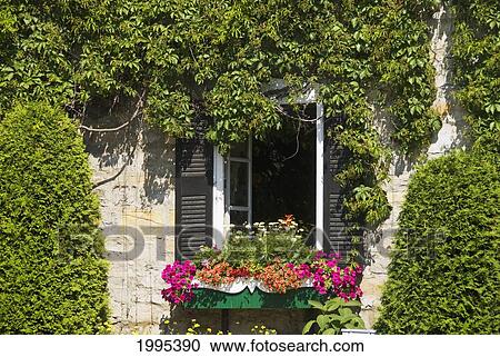 Stock Image - Window With Open Green Shutters And Flowers In A Windowbox; Baie St. Paul Quebec Canada. Fotosearch