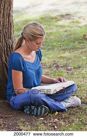 Stock Photo - Woman Reading Her Bible In The Park Beside A Tree; Edmonton Alberta Canada. Fotosearch