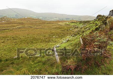 Wooden fence posts along fields with fog; gap of dunloe ireland View Large Photo Image Stock Photo - Wooden fence posts along fields with fog; gap of dunloe ireland. Fotosearch