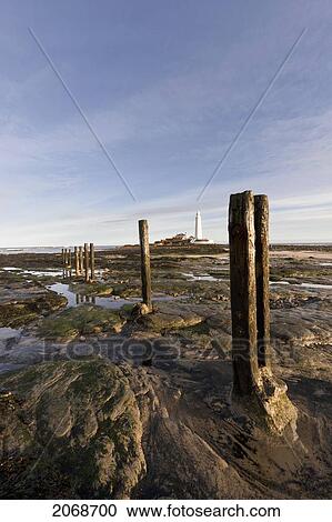 Wooden Posts At The Water's Edge With A Lighthouse In The Distance At Whitley Bay; Northumberland England View Large Photo Image Stock Image - Wooden Posts At The Water's Edge With A Lighthouse In The Distance At Whitley Bay; Northumberland England. Fotosearch