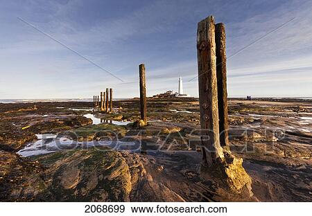 Stock Photo - Wooden Posts At The Water's Edge With A Lighthouse In The Distance At Whitley Bay; Northumberland England. Fotosearch