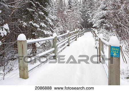 Wooden walkway and railings covered with snow in a forest in winter; grand portage minnesota united states of america View Large Photo Image Stock Photo - Wooden walkway and railings covered with snow in a forest in winter; grand portage minnesota united states of america. Fotosearch