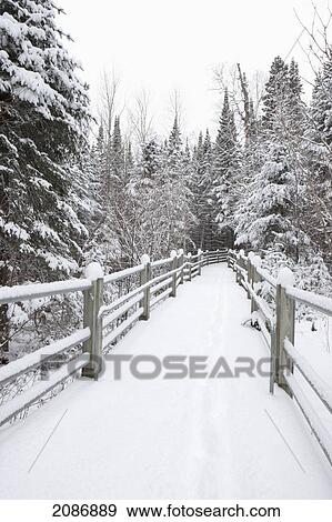 Stock Photo - Wooden walkway and railings covered with snow in a forest in winter; grand portage minnesota united states of america. Fotosearch