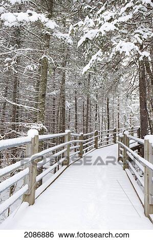 Stock Photograph - Wooden walkway and railings covered with snow in a forest in winter; grand portage minnesota united states of america. Fotosearch