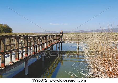 Stock Image - Wooden Walkways Through Tablas De Daimiel National Park; Ciudad Real Province Spain. Fotosearch