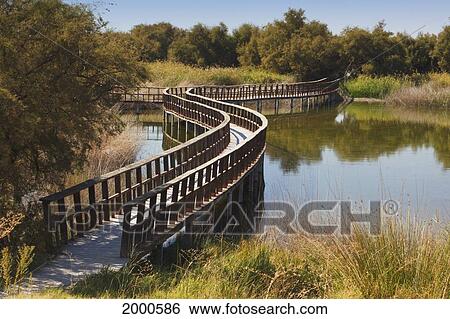 Wooden Walkways Through The Tablas De Daimiel National Park; Ciudad Real Province La Mancha Spain View Large Photo Image Stock Photograph - Wooden Walkways Through The Tablas De Daimiel National Park; Ciudad Real Province La Mancha Spain. Fotosearch