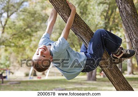 Young Boy Playing On A Tree In A Park In Autumn; Edmonton Alberta Canada View Large Photo Image Stock Photo - Young Boy Playing On A Tree In A Park In Autumn; Edmonton Alberta Canada. Fotosearch