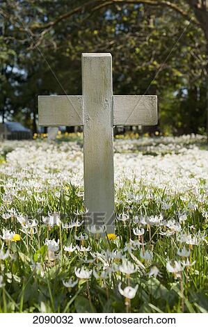 Stock Image - A cross in a field of wildflowers; metchosin, british columbia, canada. Fotosearch