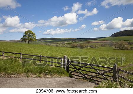 A fence and gate on the edge of a field; northumberland, england View Large Photo Image Stock Photograph - A fence and gate on the edge of a field; northumberland, england. Fotosearch