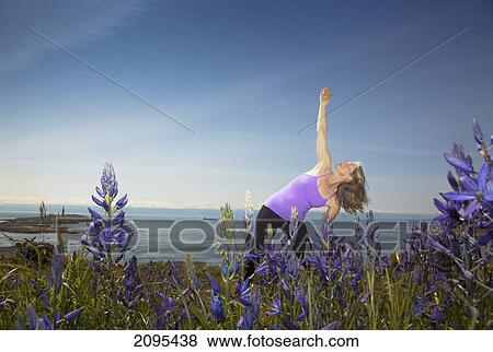 A fit senior woman does yoga in the flowers on the victoria waterfront on vancouver island; victoria british columbia canada View Large Photo Image Stock Photo - A fit senior woman does yoga in the flowers on the victoria waterfront on vancouver island; victoria british columbia canada. Fotosearch