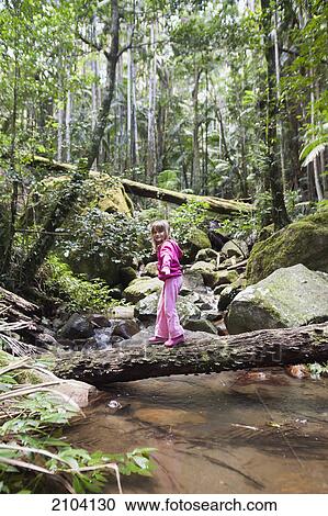A girl walks across a fallen tree over water in mount warning national forest; new south wales australia View Large Photo Image Stock Image - A girl walks across a fallen tree over water in mount warning national forest; new south wales australia. Fotosearch