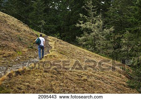 A man hikes on mount tzouhalem on vancouver island; british columbia canada View Large Photo Image Stock Image - A man hikes on mount tzouhalem on vancouver island; british columbia canada. Fotosearch